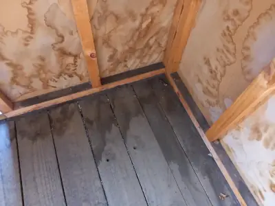 moisture inside a new garden shed