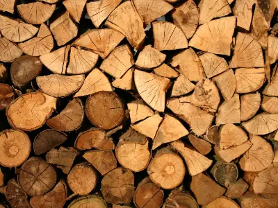 drying firewood