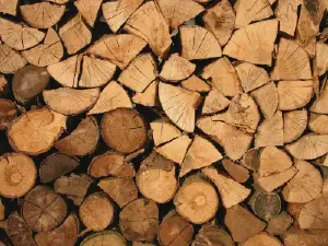 9 Tips For Drying Firewood Faster