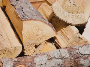 9 Ways To Test Whether Firewood Is Dry