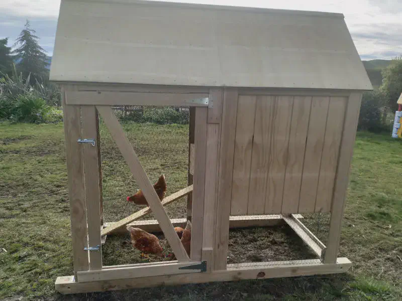 Chicken Little, Chicken Coop & Tractor