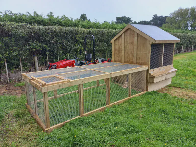 Lady Cluck, 2 Bay Chicken Coop