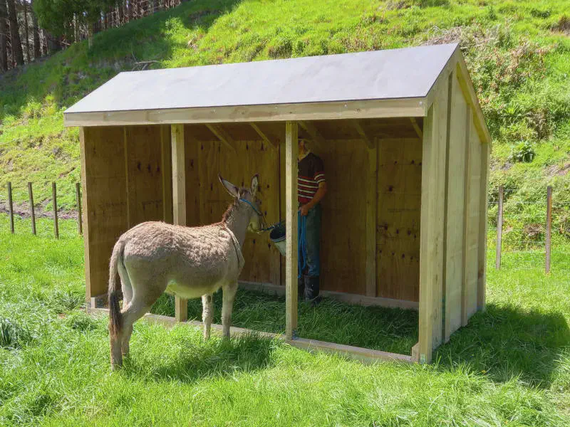 3 Bay Barney, Livestock Shelter